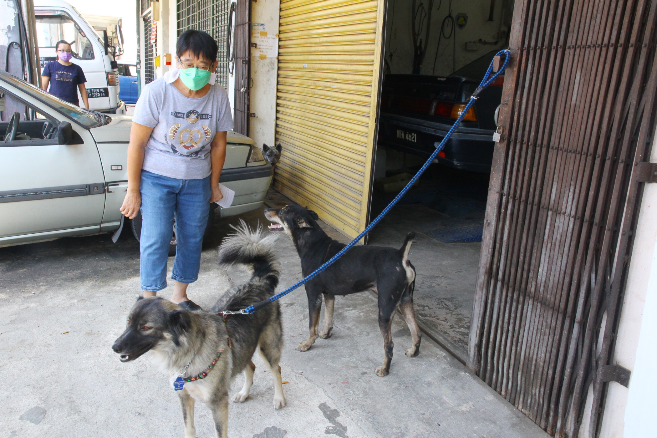 版头//大都会/业者投诉DBKL不批更新狗牌