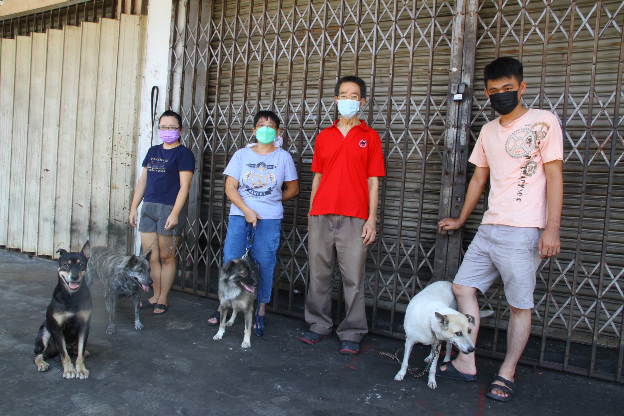 版头//大都会/业者投诉DBKL不批更新狗牌