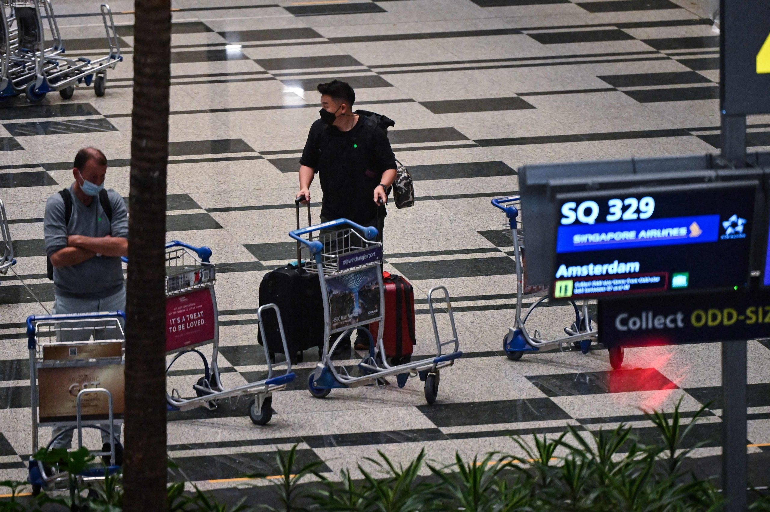 疫苗接种者旅游走廊