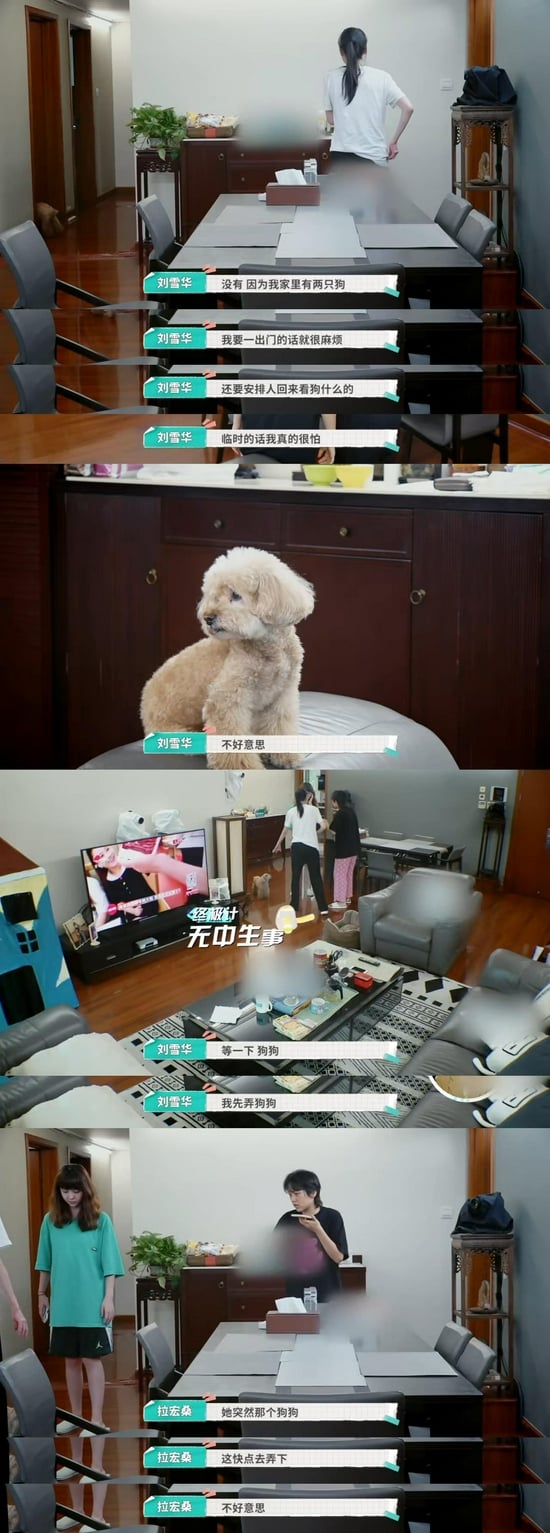 社交焦虑宅女属性曝光 刘雪华不想出门自责哭