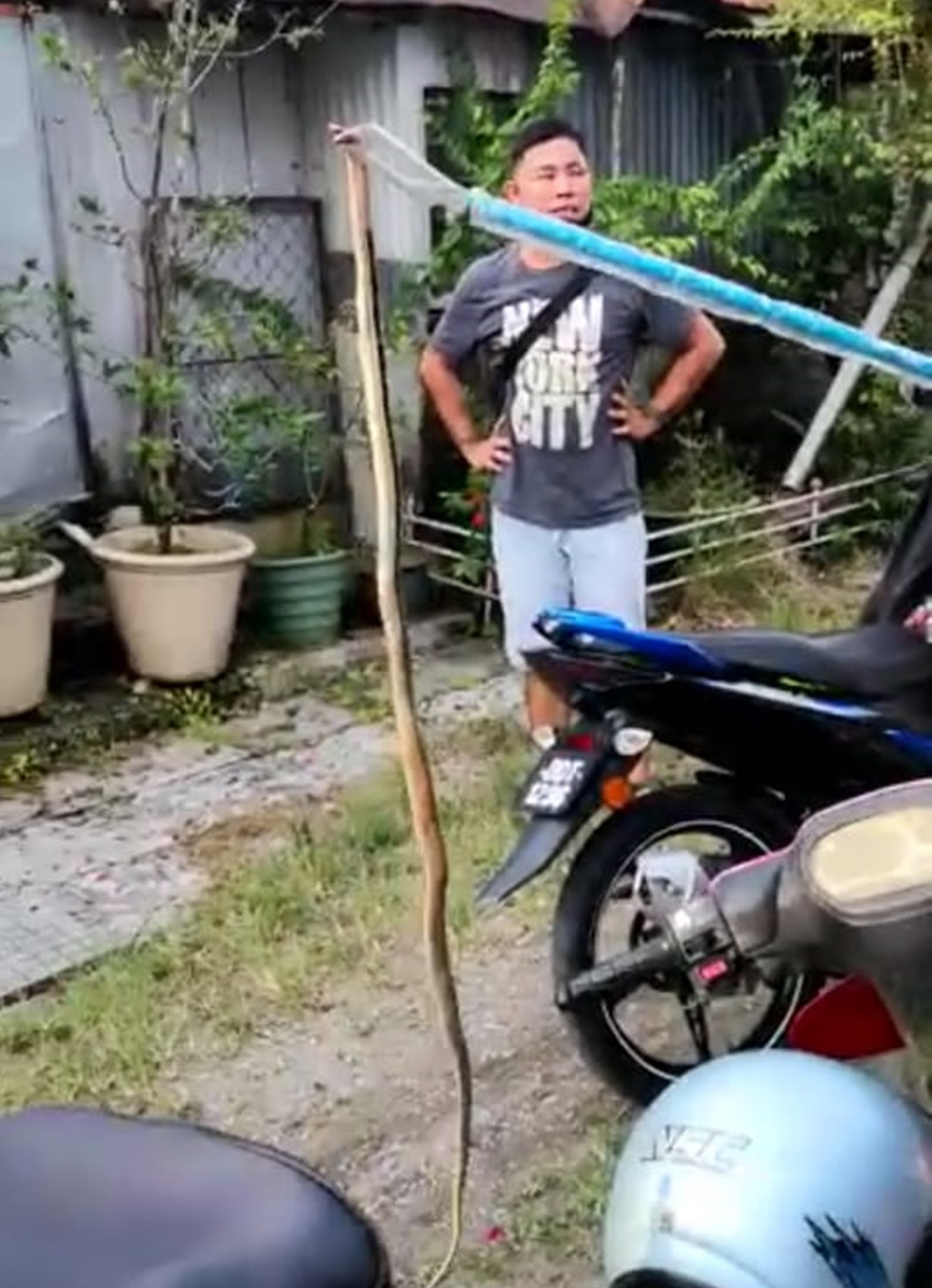 社区动态/逾5尺毒蛇潜入空房捕鼠遭打死