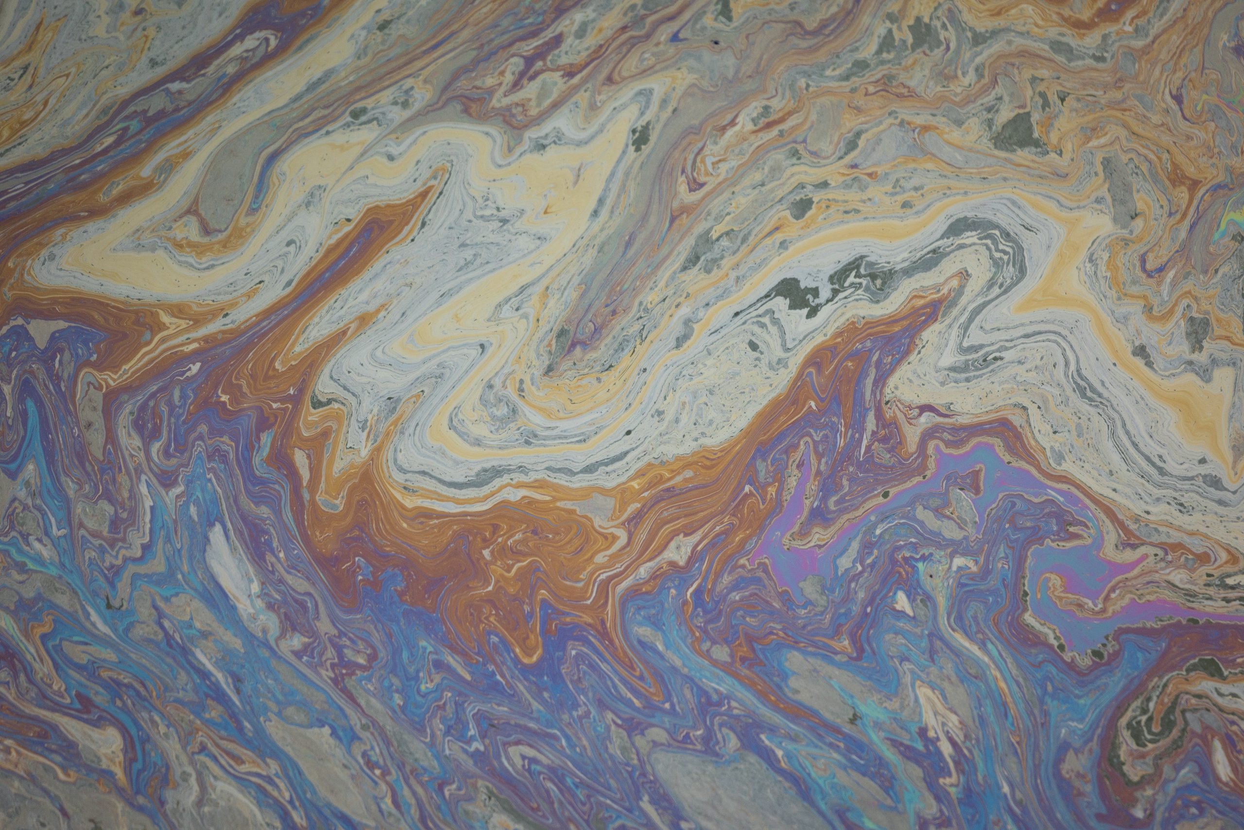 美国南加海岸发生重大石油泄漏 恐酿生态悲剧