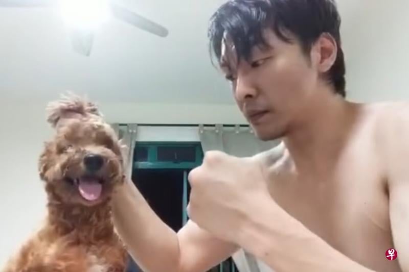 自拍残暴虐狗视频 狮城男遭严惩监8月