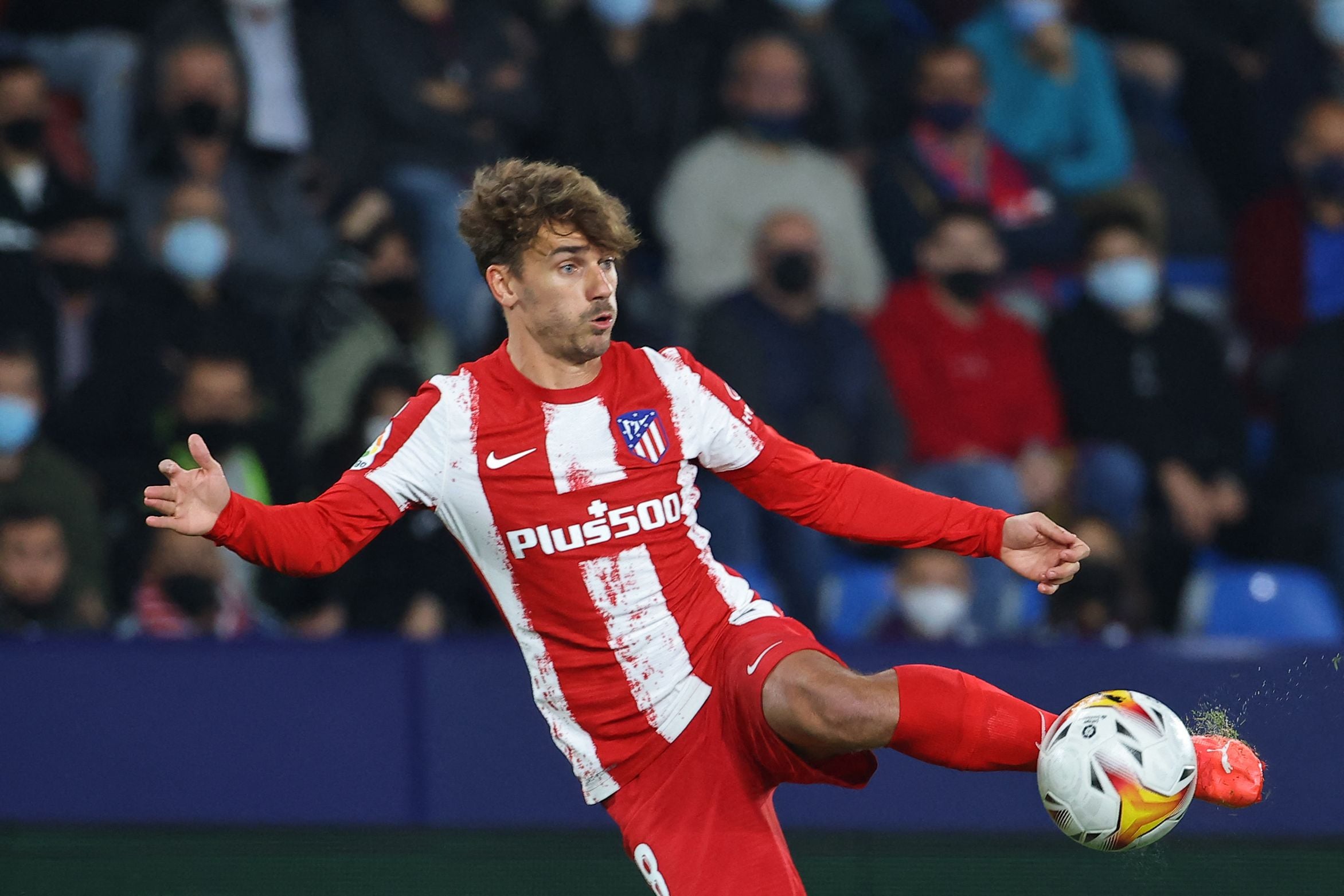 贝迪斯近11仗9胜  马体会恐难止颓势