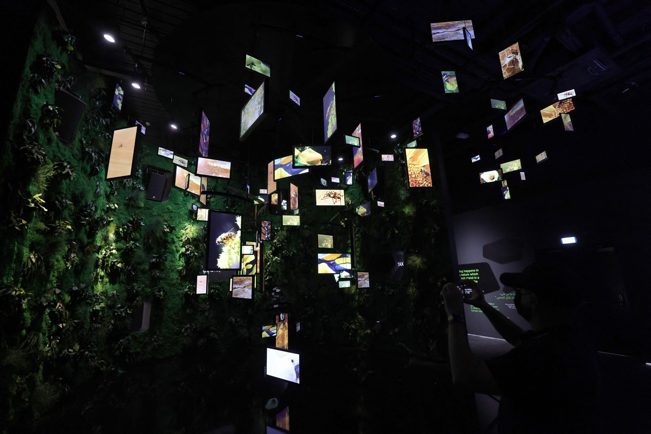 迟来的迪拜世博盛会 疫情之下精彩依旧