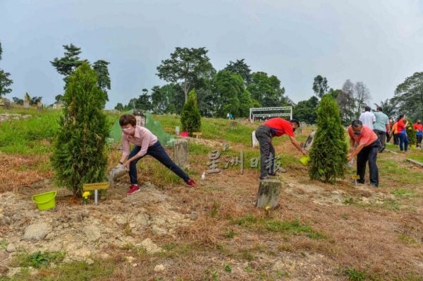 重阳节登高义山行复办,百人登百年义山植树