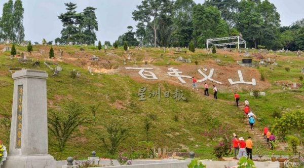 重阳节登高义山行复办,百人登百年义山植树