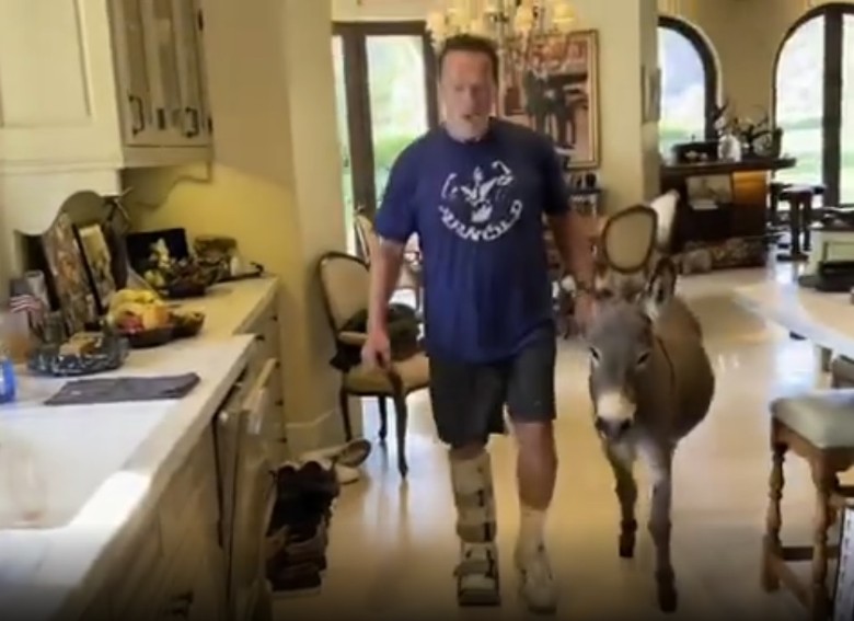 阿诺临阵缺席体育节 粉丝气炸喊“退钱”