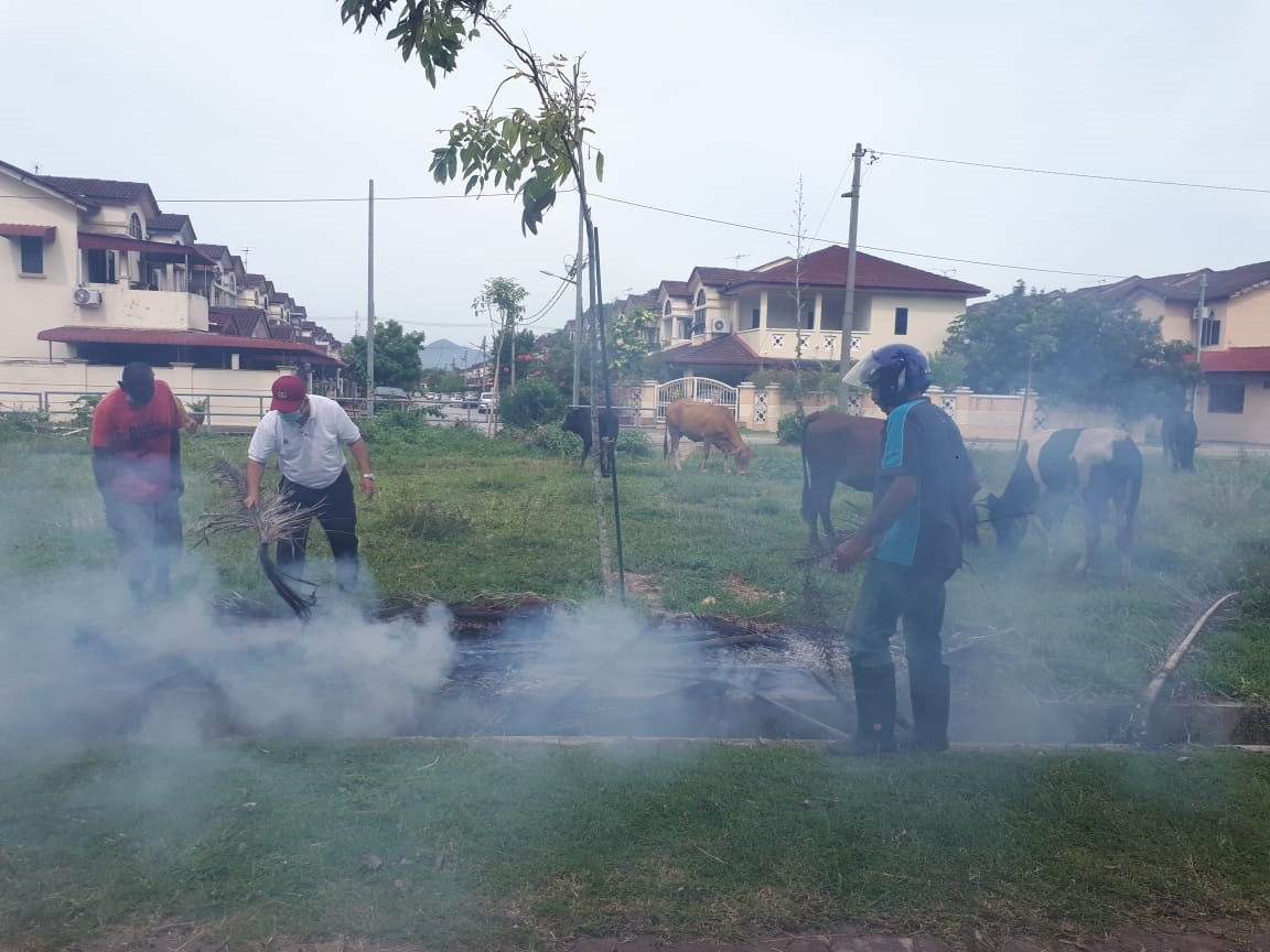 霹/不明人士砍4树 另一棵受草地起火波及