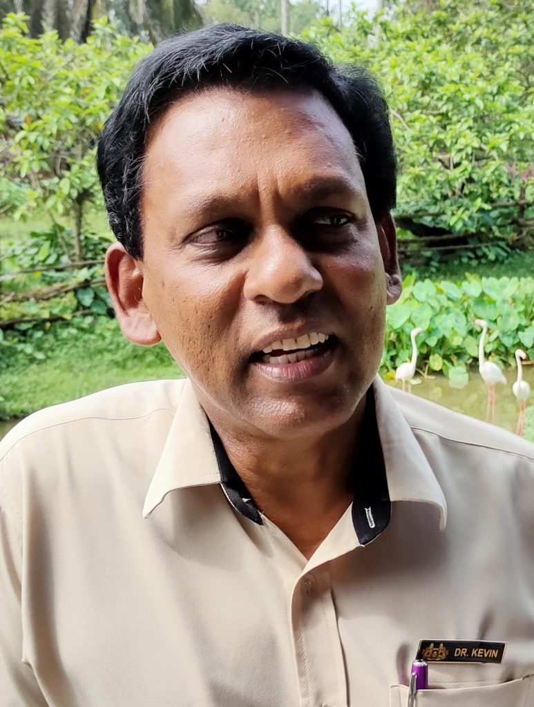 霹/史格山发现豹猫尸体