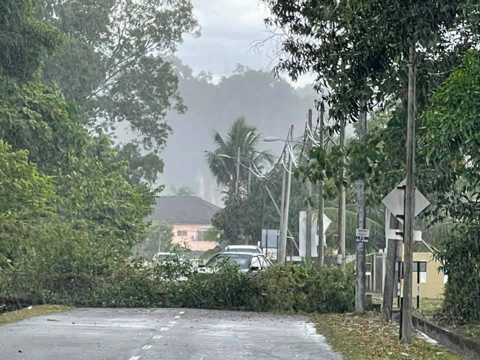 霹:已签/怡保中午豪雨 卫星市 翠林城发生倒树