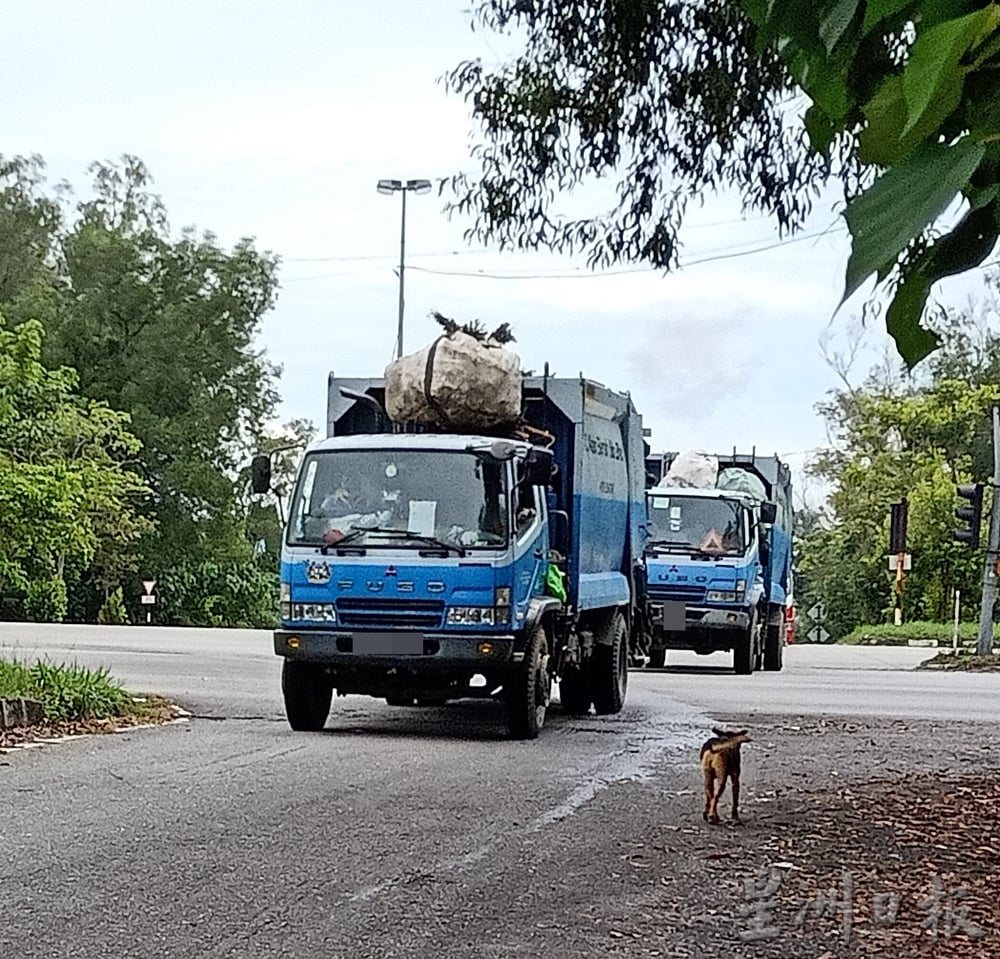 霹:版头/怡红大道往垃圾场道路 成野放流浪狗倾倒垃圾地带
