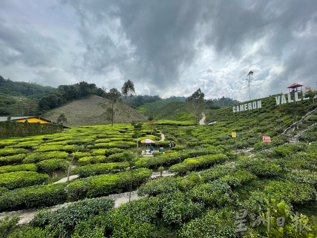 霹：第二版头／虽未恢复疫前盛况 金马仑酒店预订率持续飙升