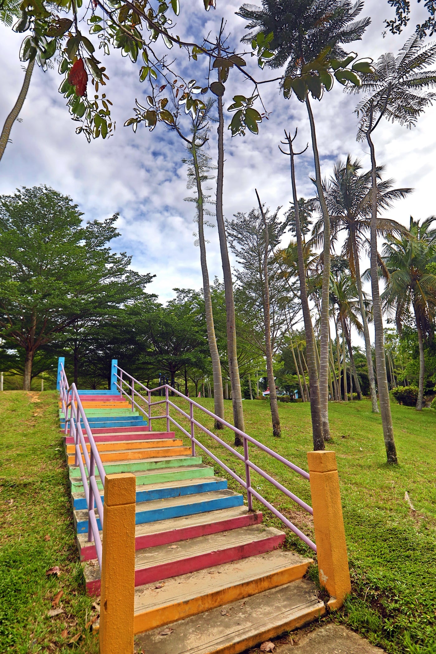 （4日见报）大都会/疫起出游系列-彩虹景点
