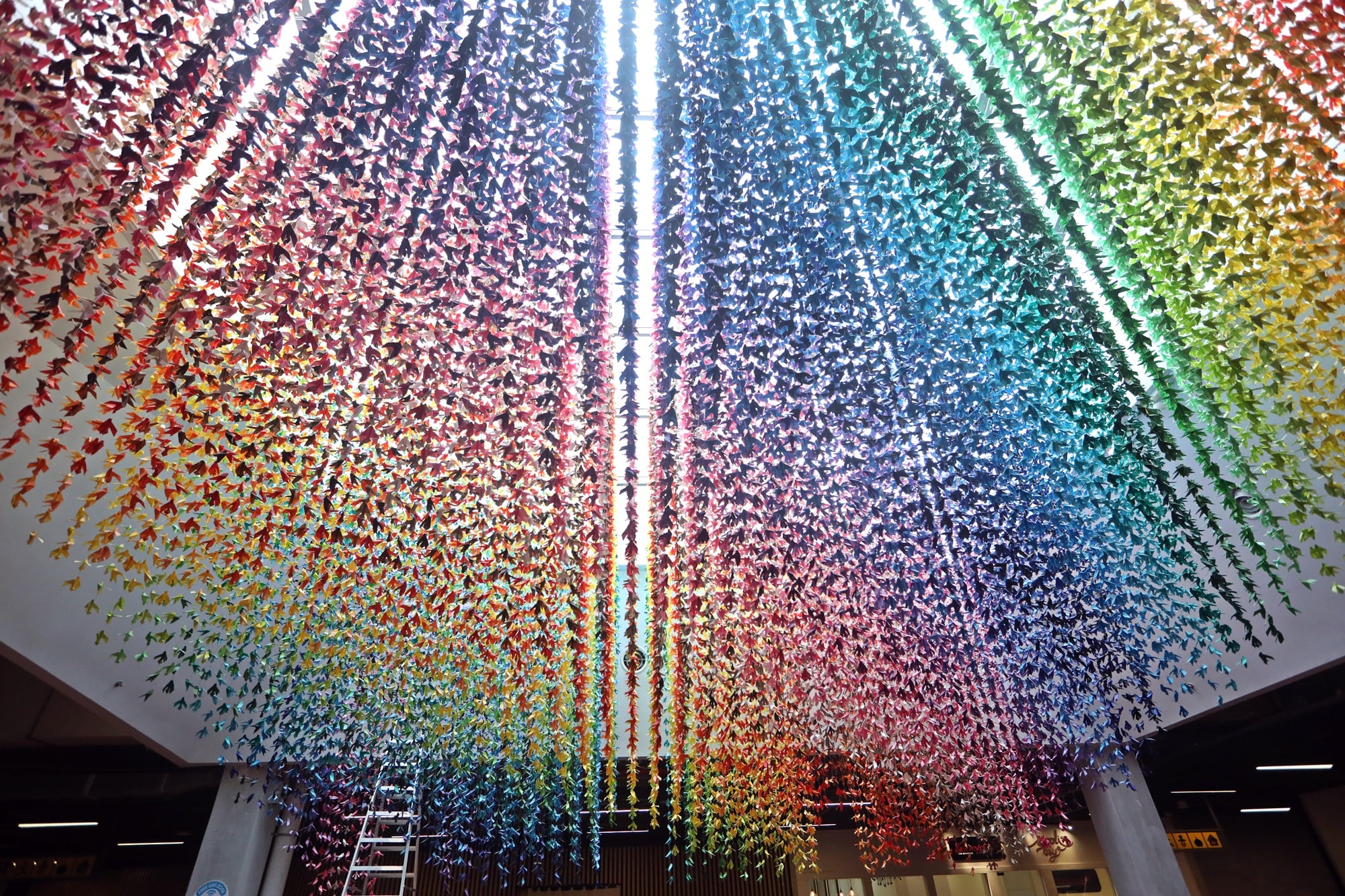 （4日见报）大都会/疫起出游系列-彩虹景点