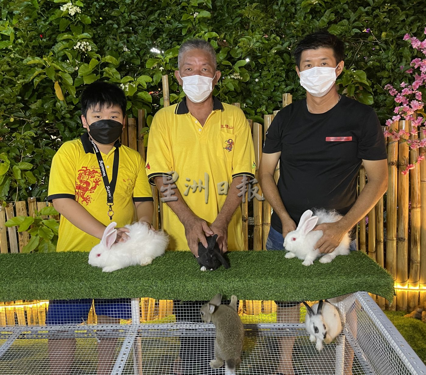 （古城封底主文）青山侯王庙打造宠物乐园·治愈大众心