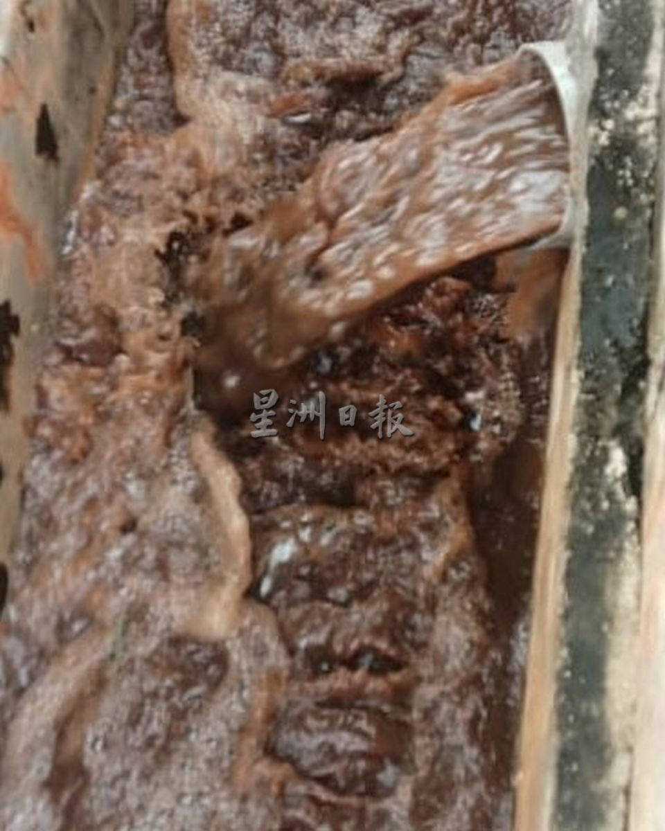 (古城第二版主文)武吉波浪合作花园及甲岭花园,自来水变“奶茶”