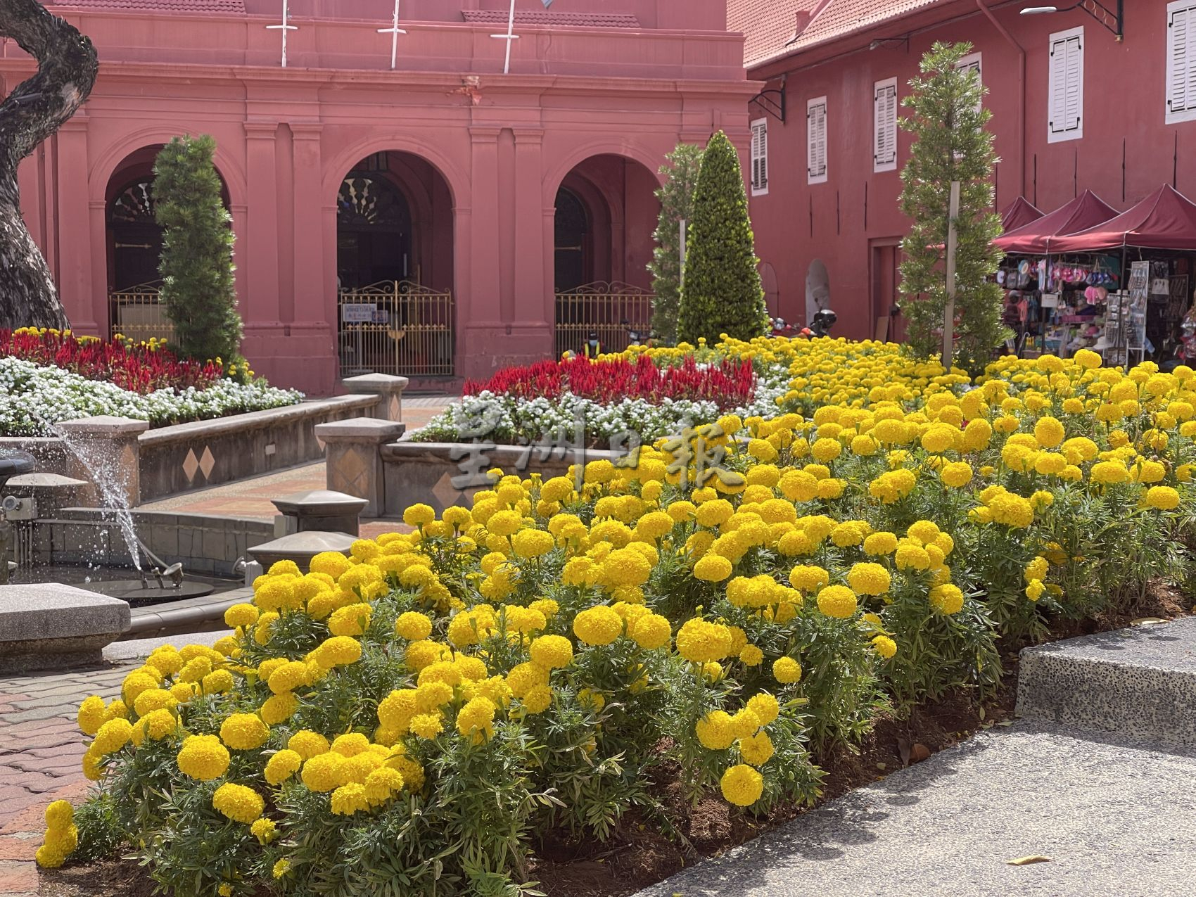 （古城第二版主文）红屋古迹区 花团锦簇迎游客