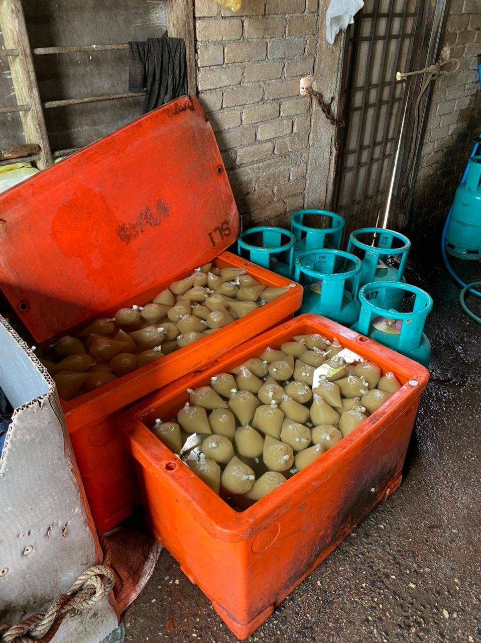 (大北马)为牟暴利,男子再非法产销哥冬水被捕。