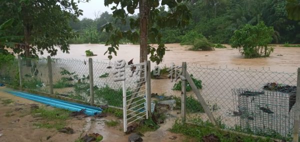 fb:数小时大雨,森州各地传出灾情;灾民手牵手越马路