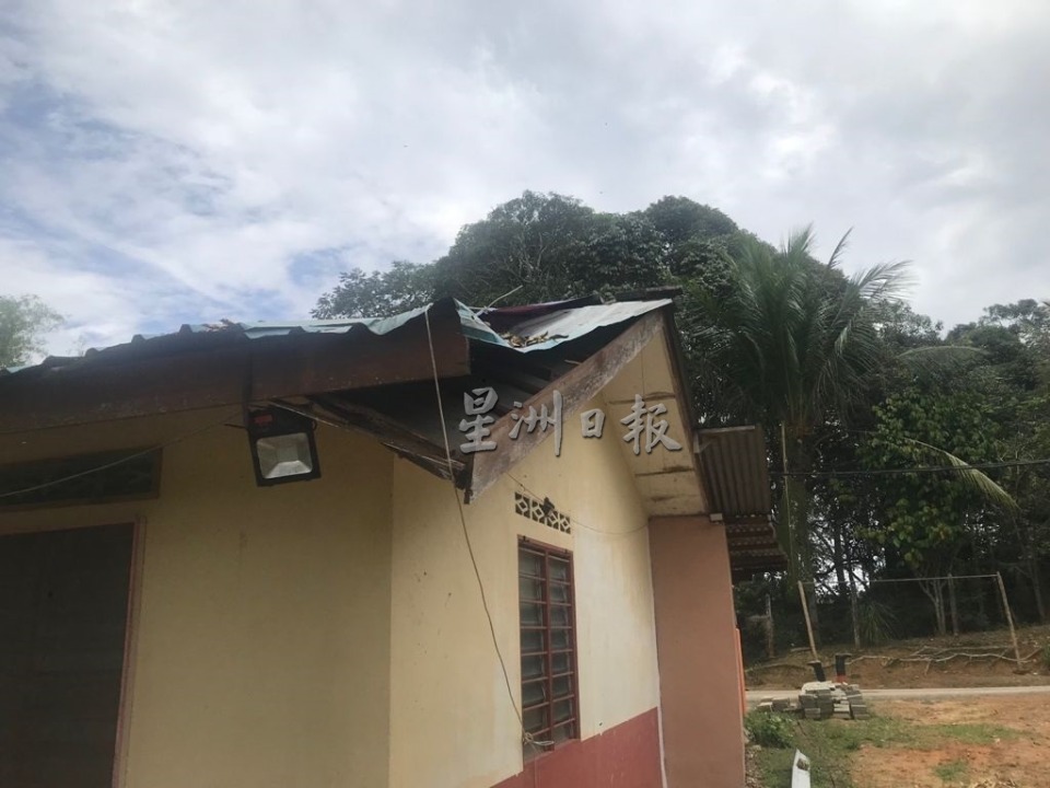 NS 淡边:榴梿树倒下压毁民宅