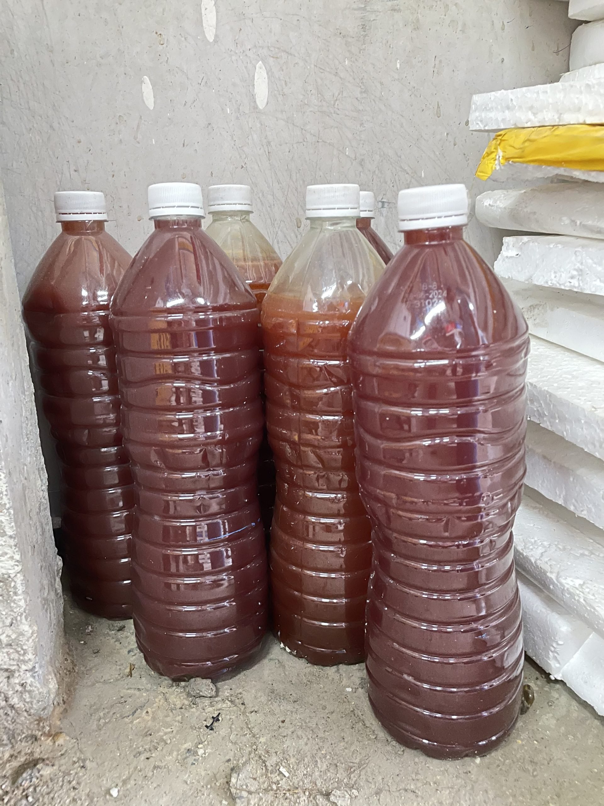 ns汝来：童年的斗鱼不再打架，凭着色彩绚丽的外表，俘虏人心