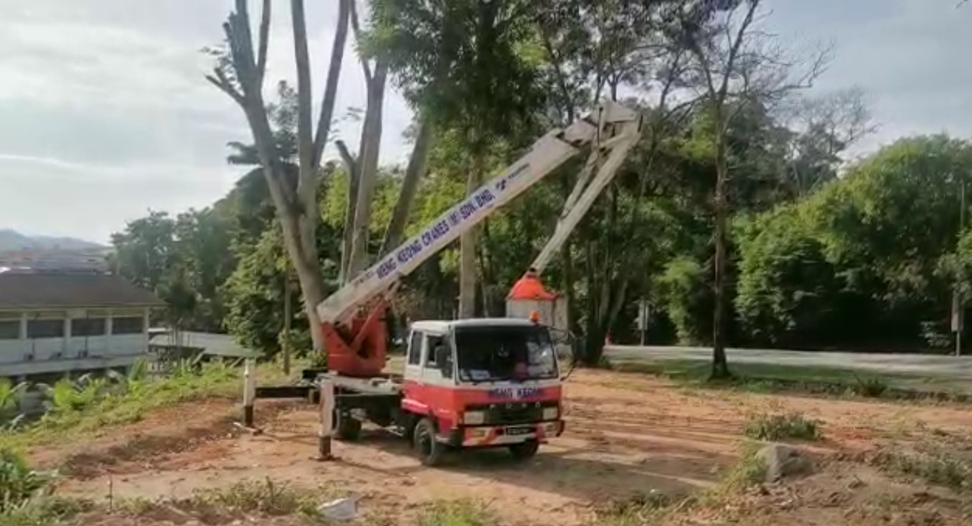 NS芙蓉/根部老化大树与校舍为邻,获社团领袖和州议员协助处理