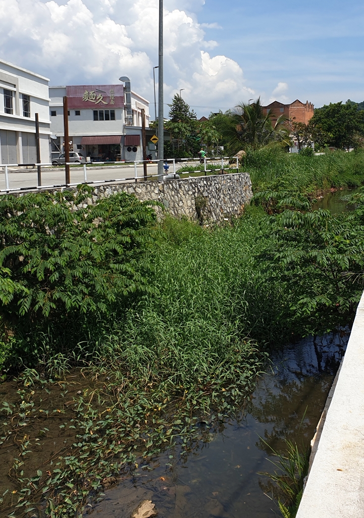 NS芦骨:童年清澈河道边“垃圾沟”,女地主促政府设告诫路牌,对付垃圾虫