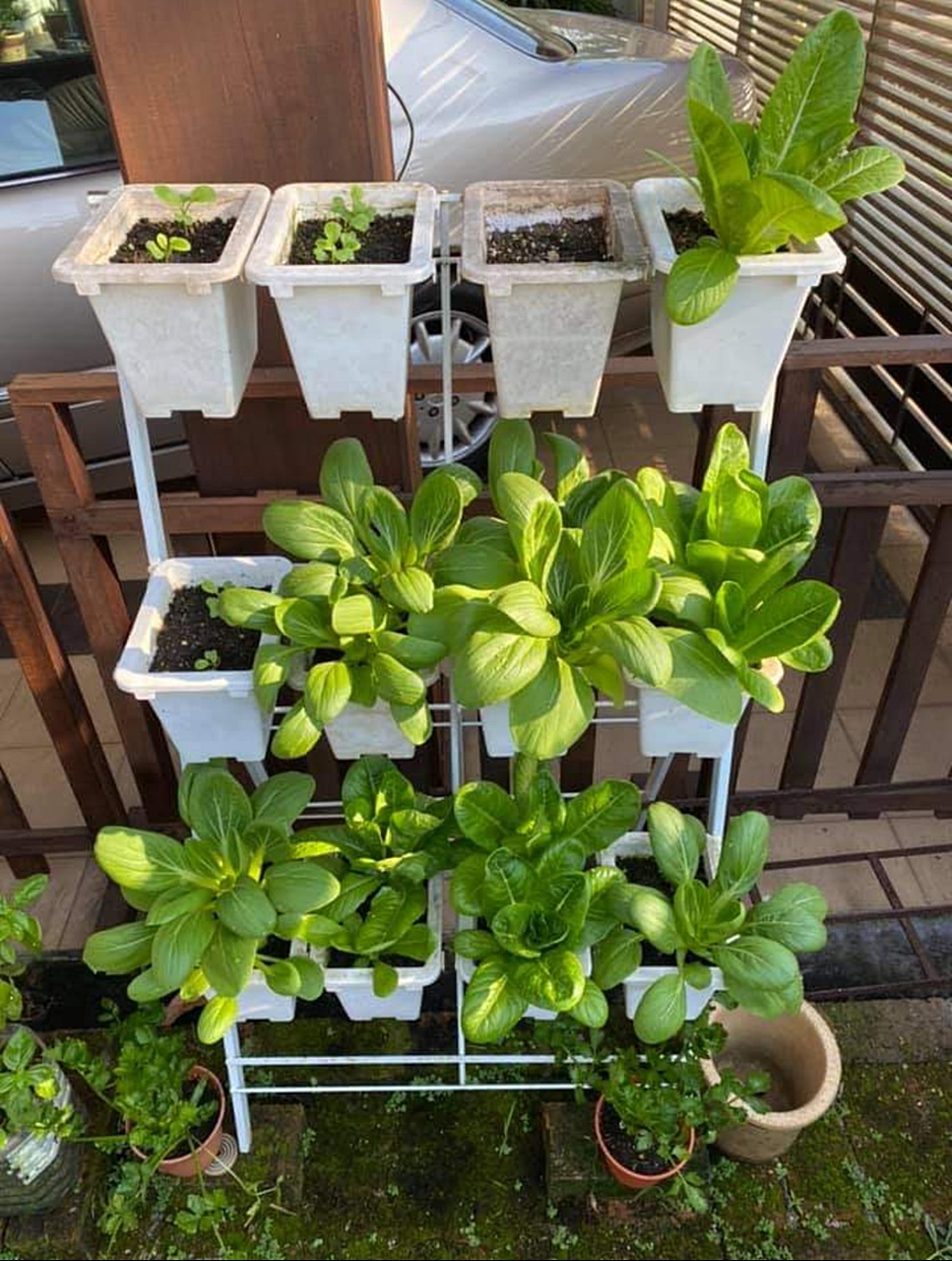 ★11月18日见报/有故事的人