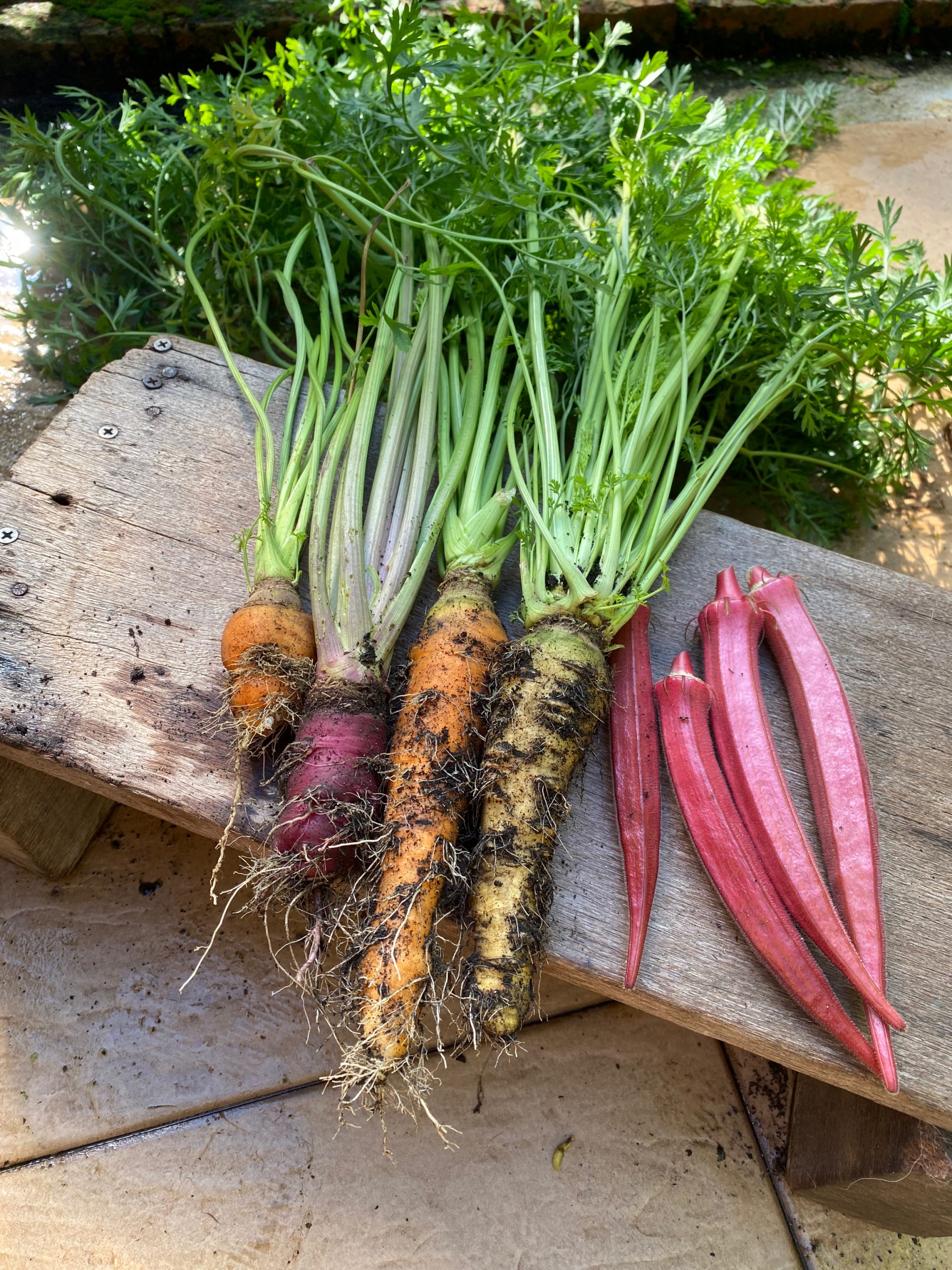 ★11月18日见报/有故事的人