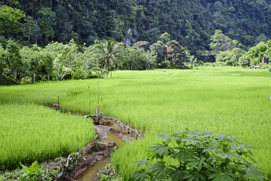【古晋笔记】蔡羽／跟着历法出海下田！