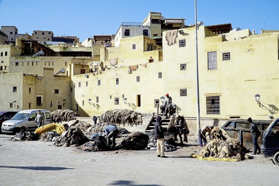 【摩洛哥】北非摩洛哥多姿多彩