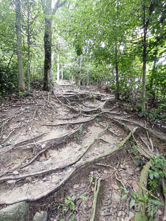 【极限挑战/01】山地车骑手:山路速降,超越极限挑战勇气