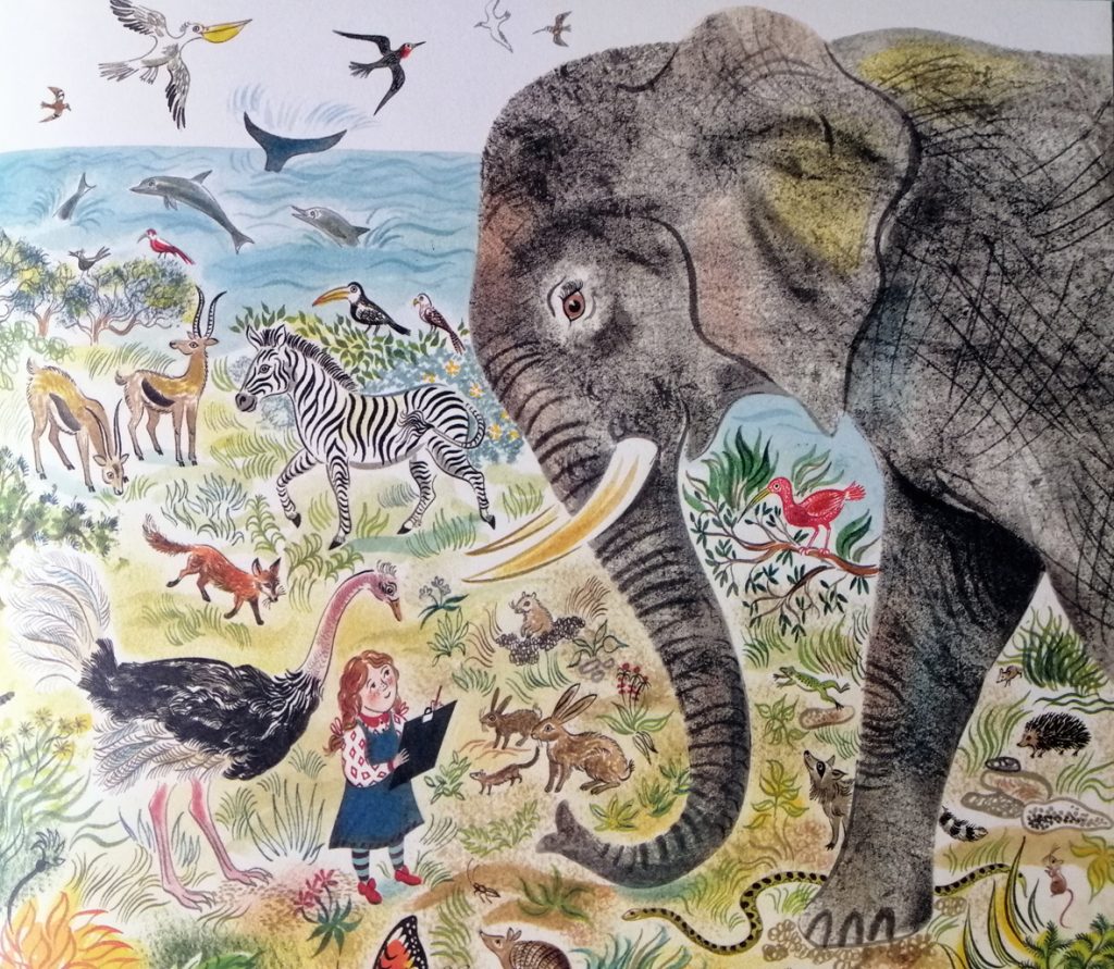 【绘本的旅行】许雪翠/爱上大自然生物的多样——环保绘本趣味多