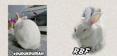 【Emoji！给你脸色看／02】Emoji对话，社交利器还是绝交地雷？