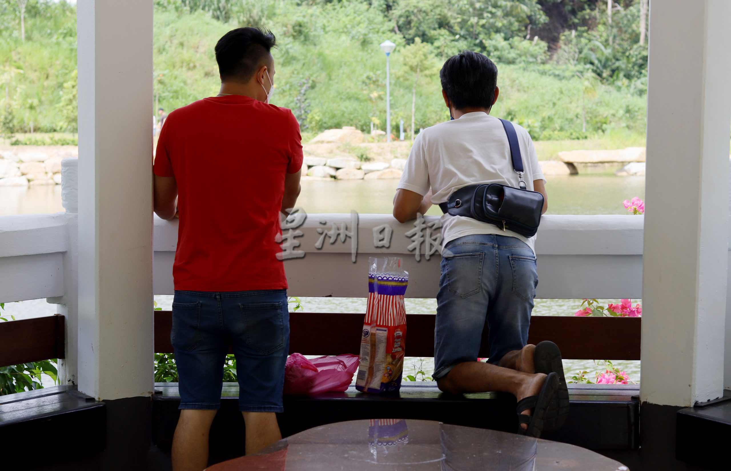 东:停止喂食