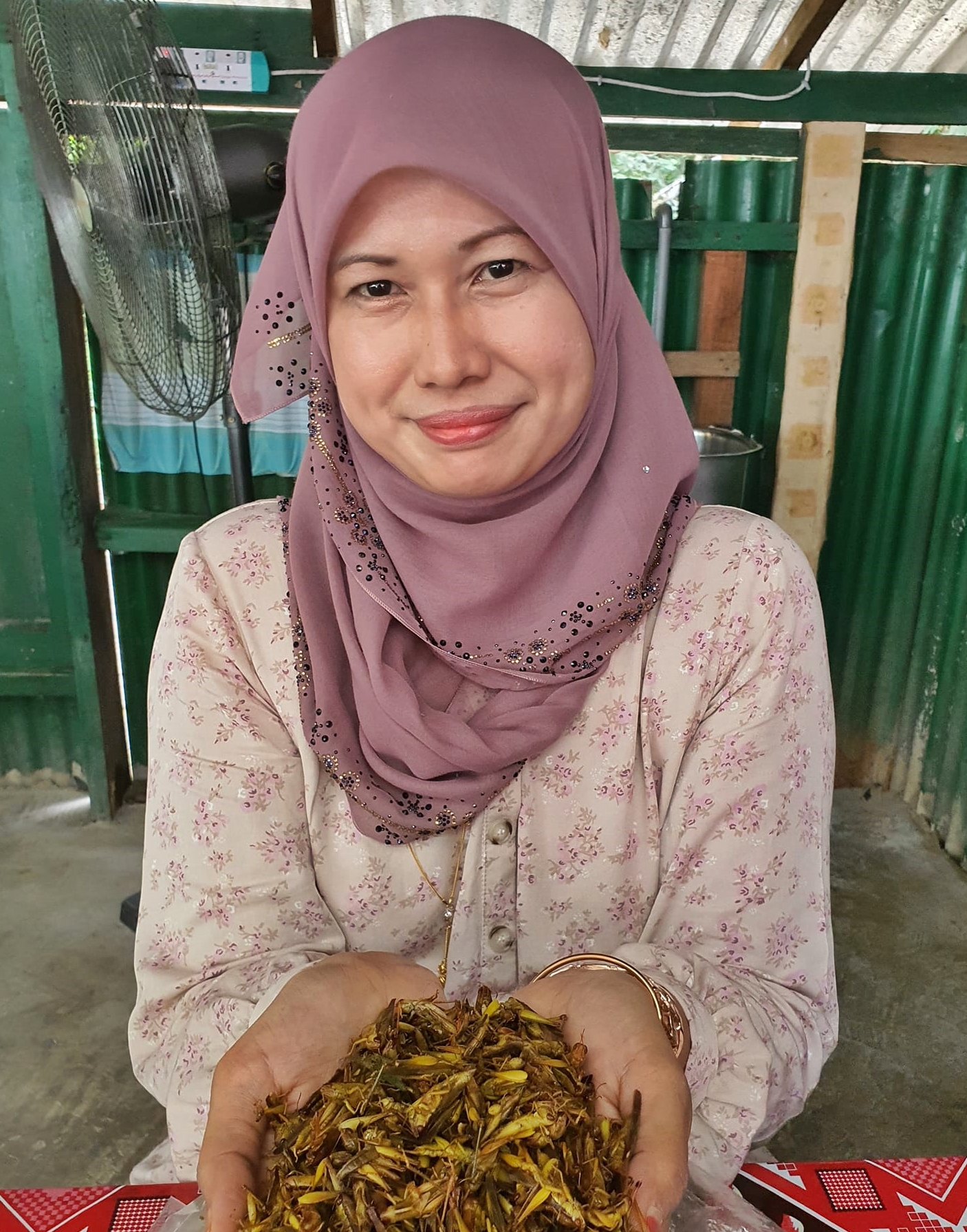 东:丹州巴西富地1名女子每天要买上千只蚱蜢,只为了制作别有风味的“蚱蜢干(serunding belalang)”。