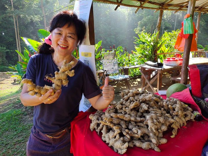 东:云海山的登山客不减