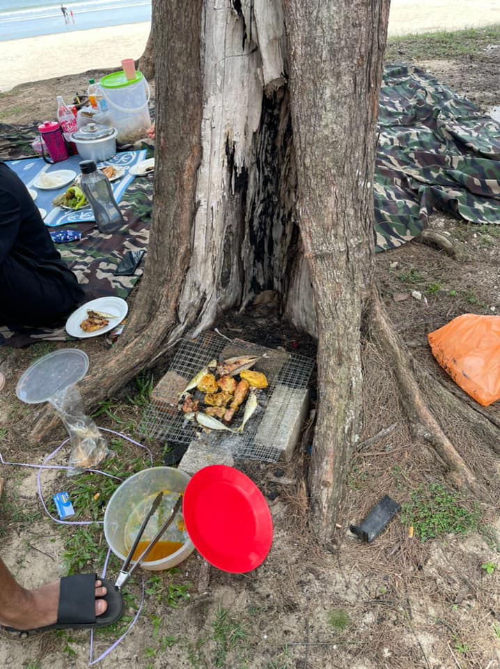 东：烧烤活动烧毁树根，关丹市政厅发动救树活动提高醒觉。