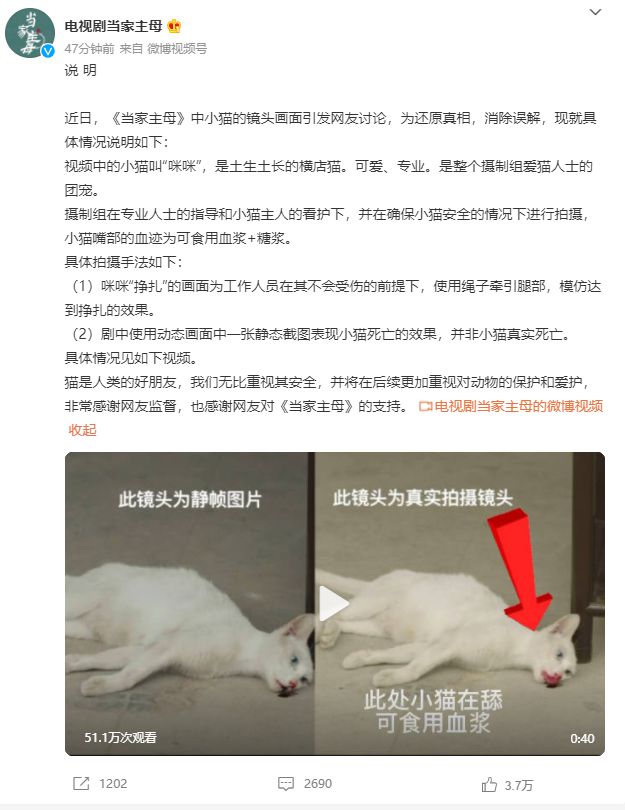 于正新剧惹杀猫争议 剧组放花絮解释网不信