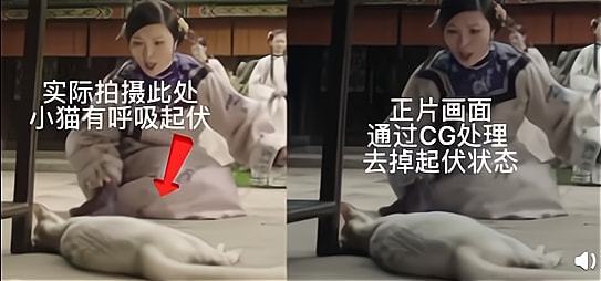 于正新剧惹杀猫争议 剧组放花絮解释网不信