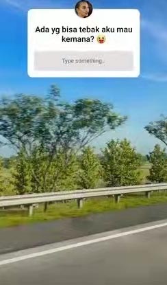 云妮莎死亡车祸 肇祸司机超速还玩手机!