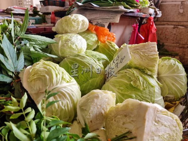 供FB/供应不足 肥料涨价,菜价飙涨或持续至新春