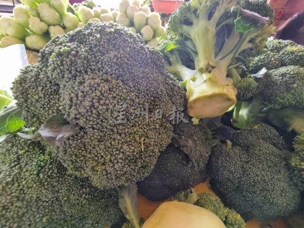 供FB/供应不足 肥料涨价,菜价飙涨或持续至新春