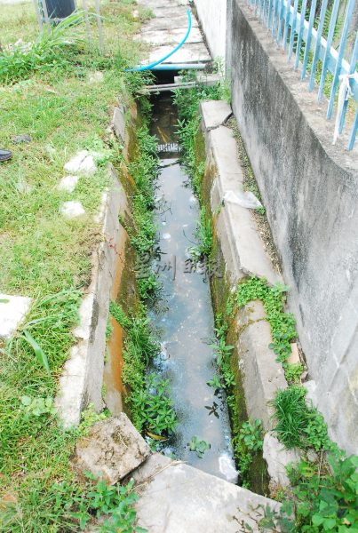 供FB/卫星市花园沟渠年久没清理,SWM周五起派人大清沟