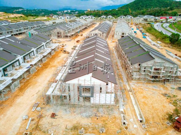 供FB/猴子及山猪住区乱窜,居民心慌 议员头痛