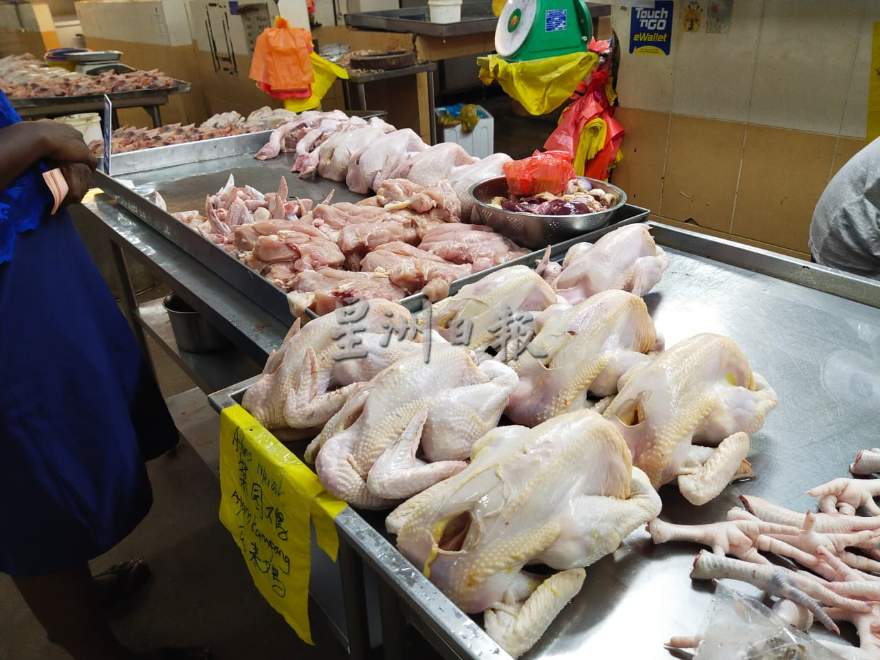 供FB/饲料涨价 鸡农疫期减产,春节恐吃贵鸡