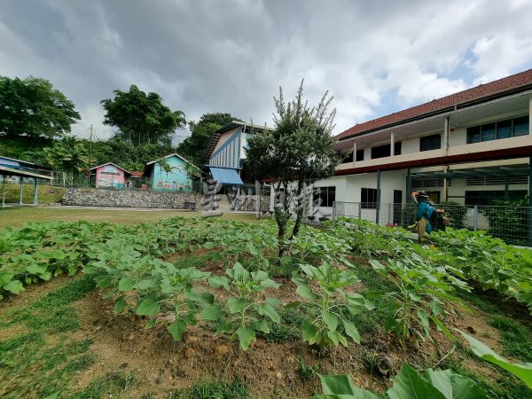 供fb:芙蓉三民华小以5大科学主题设计科学室