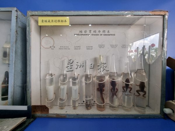 供fb:芙蓉三民华小以5大科学主题设计科学室