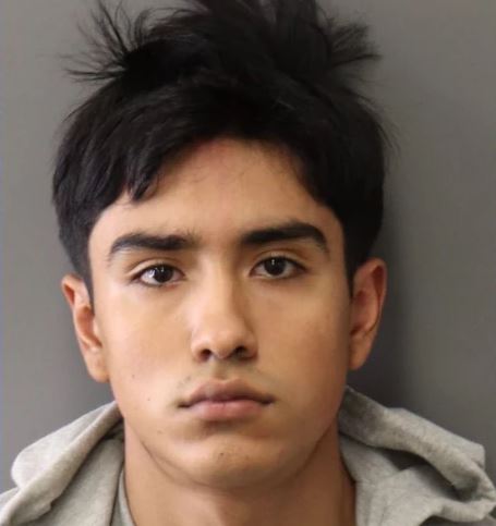 加州汉虐狗割喉还发视频上网 狗狗因伤势过重被迫安乐死